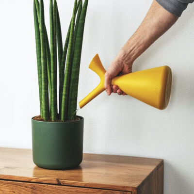 Plants Store Gallery Img 2